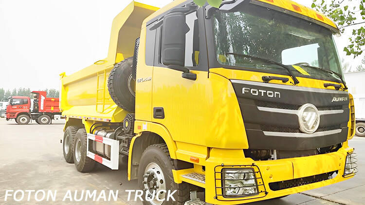 Foton 10 Wheeler Dump Truck for Sale Price in Rwanda