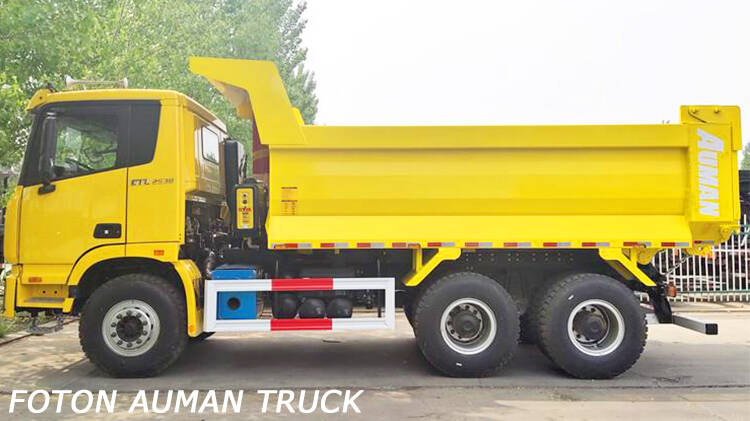 Foton 10 Wheeler Dump Truck for Sale Price in Rwanda