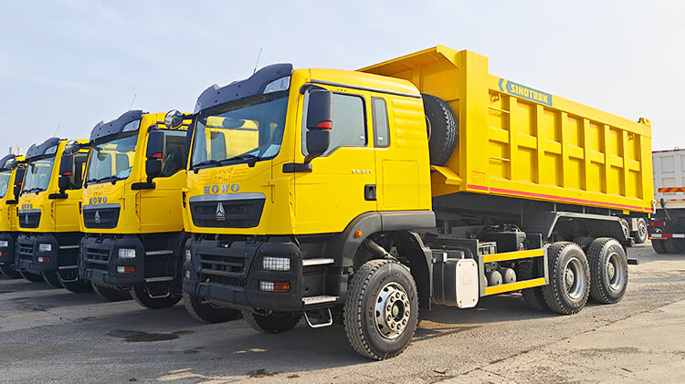 Howo 10 Wheeler Dump Truck for Sale Price in Congo